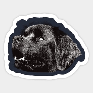 Newfoundland - Newfoundland Christmas Gifts Sticker